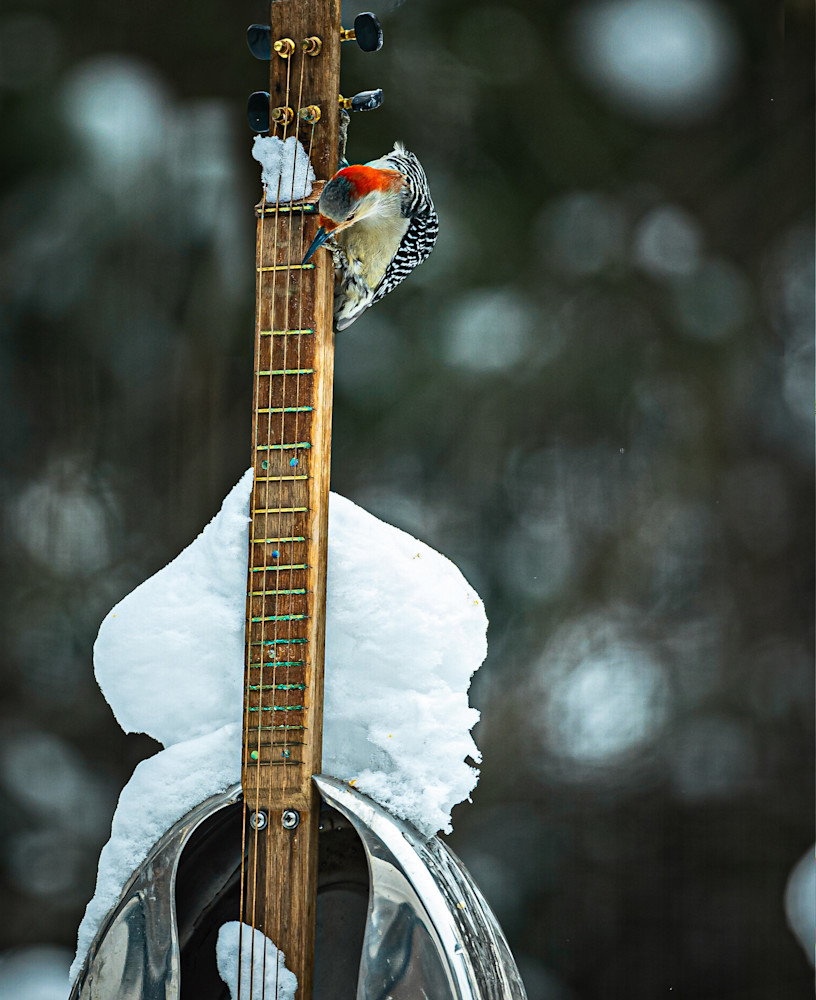 6 J6 A2894 Edit Edit Edit Photography Art | Paul Kober Photo
