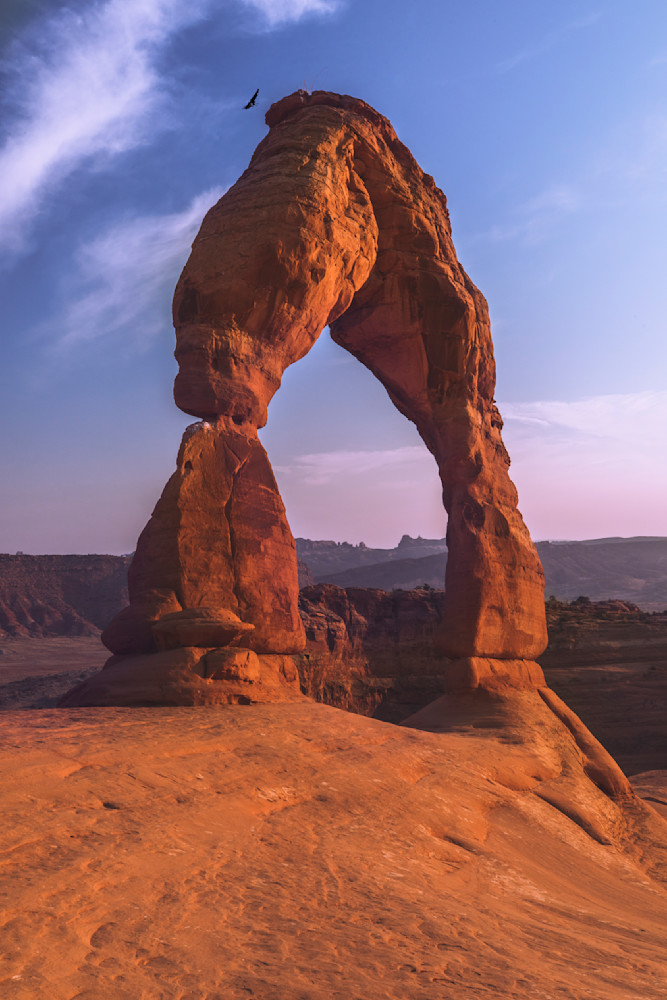 Raven Landing on Delicate Arch