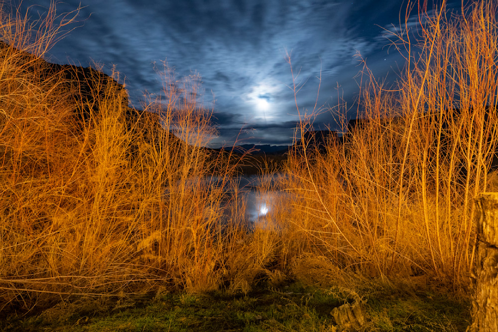 Marshes and Moonrise Over the Colorado River