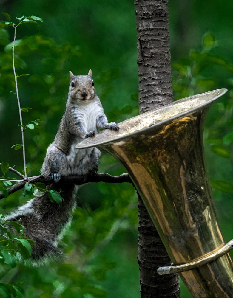 Who Me? Photography Art | Paul Kober Photo