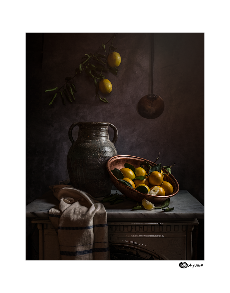 Early Winter Lemons With Border Photography Art | The Elliott Homestead, Inc.