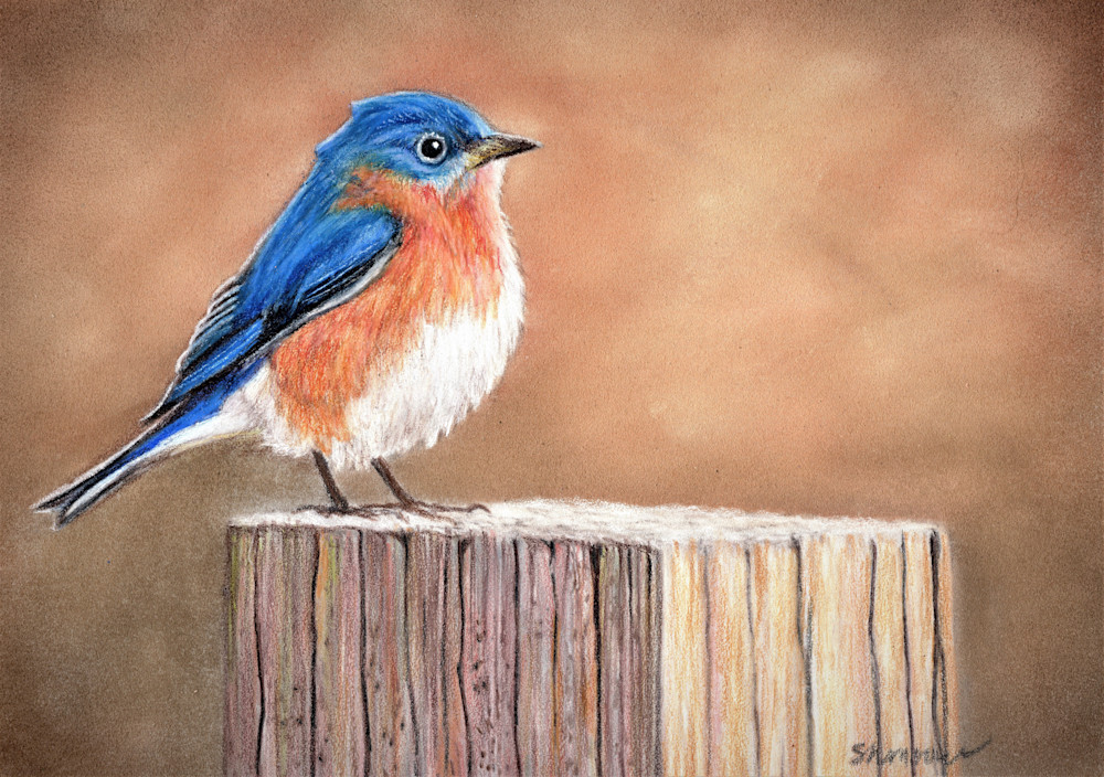 Bluebird On Post Art | SH Morris Art