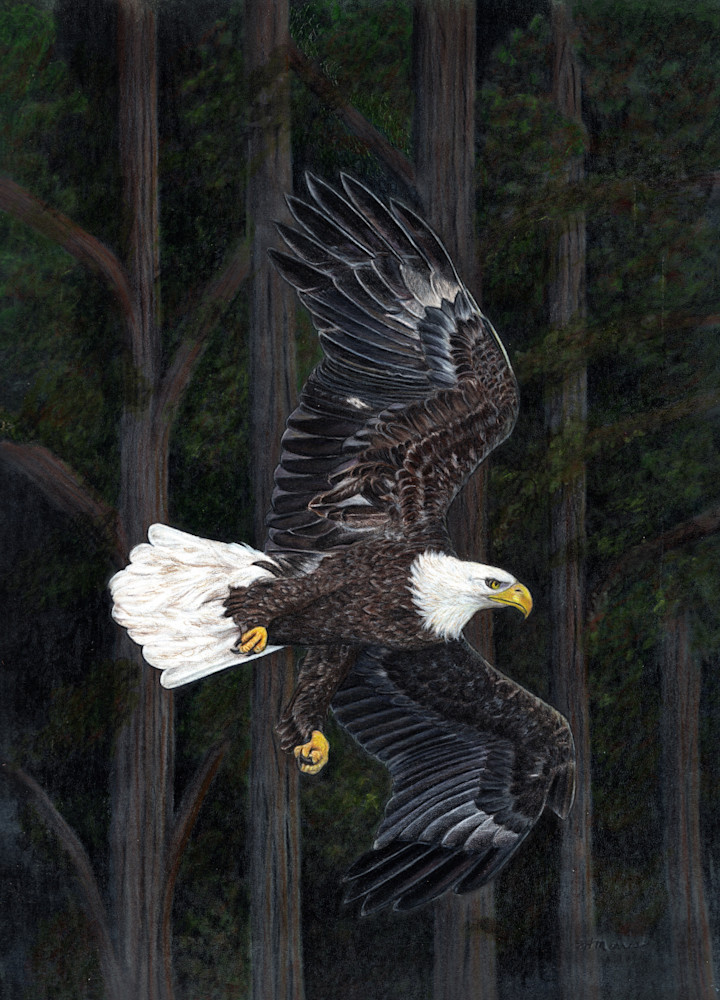 On Eagles Wings Art | SH Morris Art