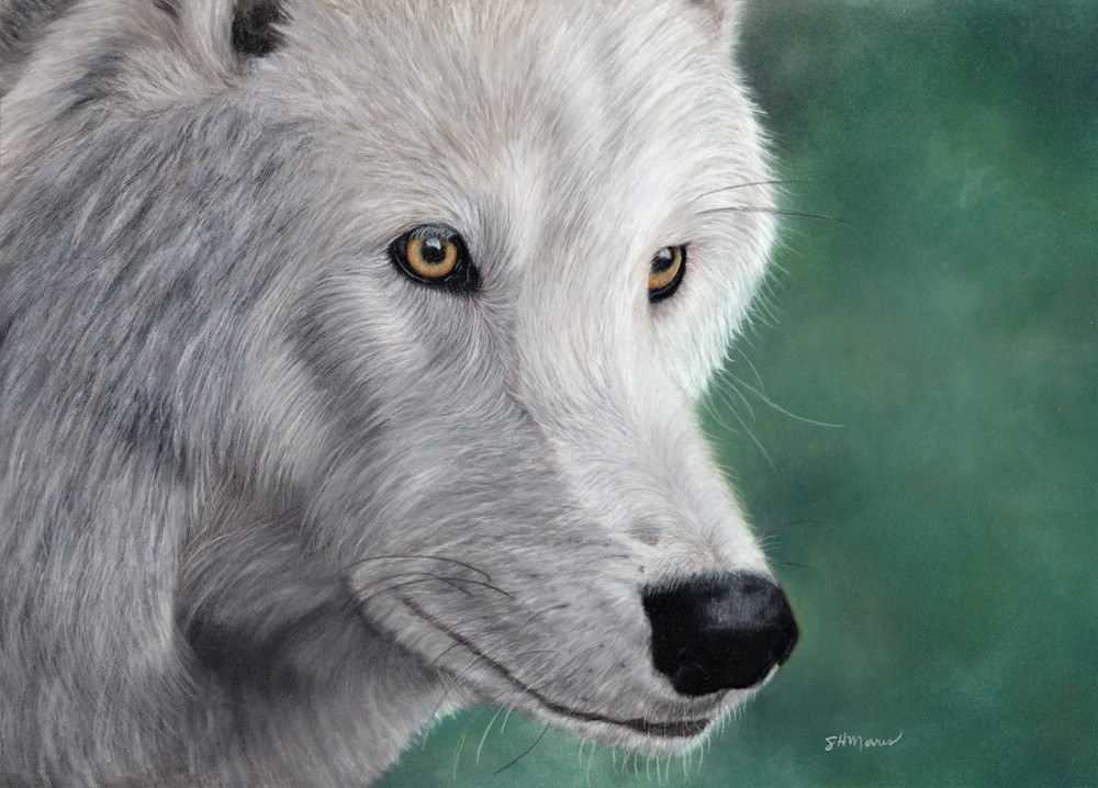 White Wolf Art | SH Morris Art