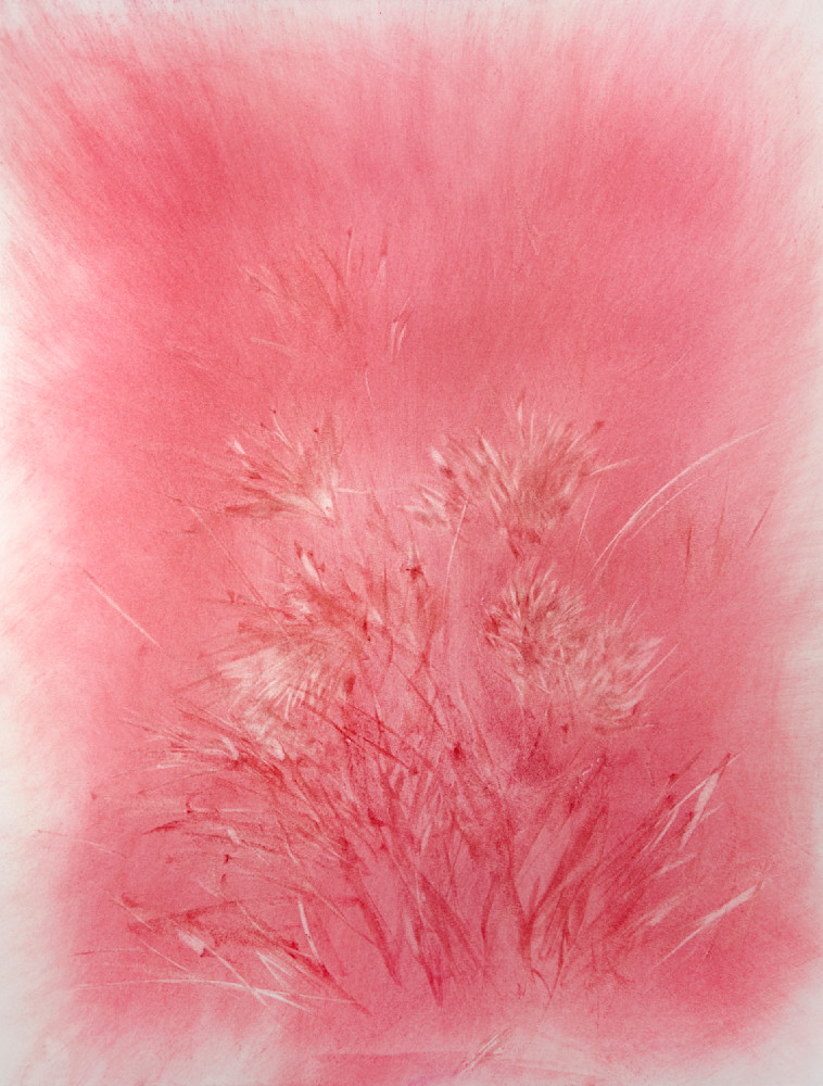 Pink Fantasia - Fine Art Print by Jose Luis Telot