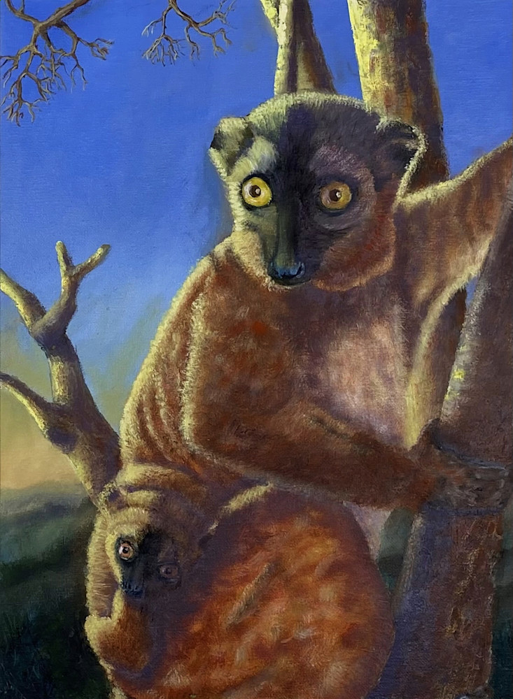 Brown Lemur Art | Andrianjafitrimo