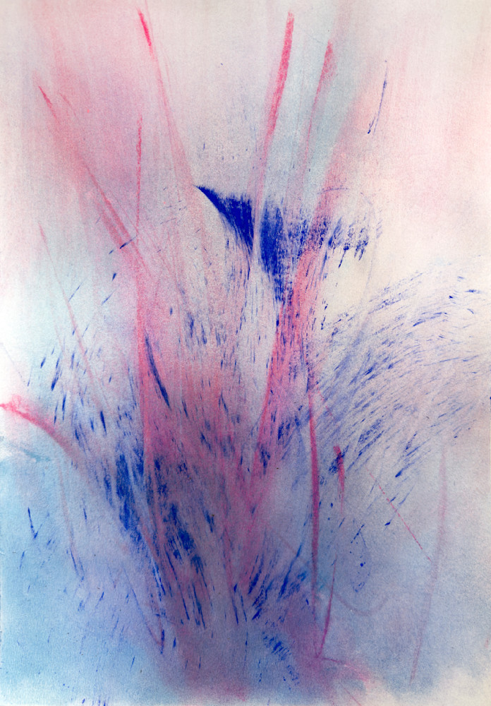 Pink Reeds - Fine Art Print by Jose Luis Telot