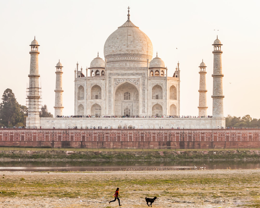 A young girl chases a goat in the Yamuna riverbed below the Taj Mahal, Agra India.
