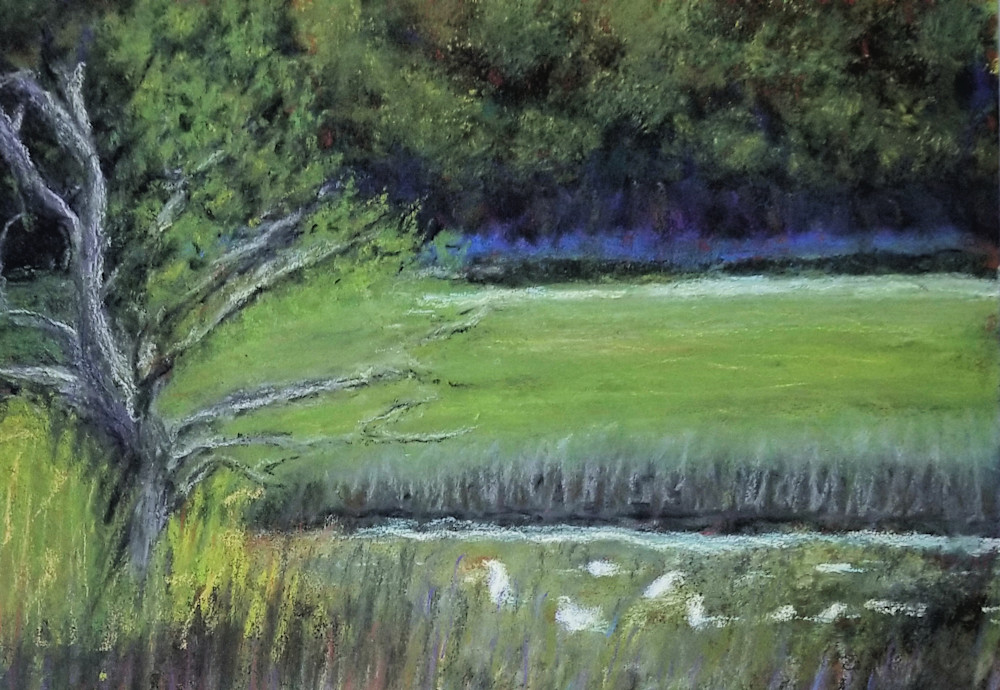 Charleston Marsh Art | Serene Scapes by Terri Westbrook