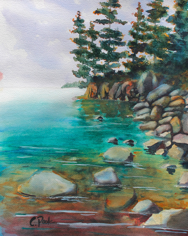 Acadia Shoreline Art | Cate Poole Water Colors