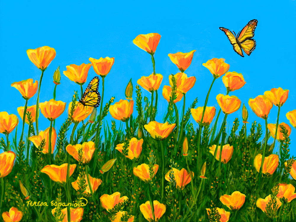 Poppies and Butterflies