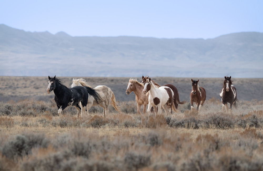 Time To Move Photography Art | Kimberley Spencer Photography