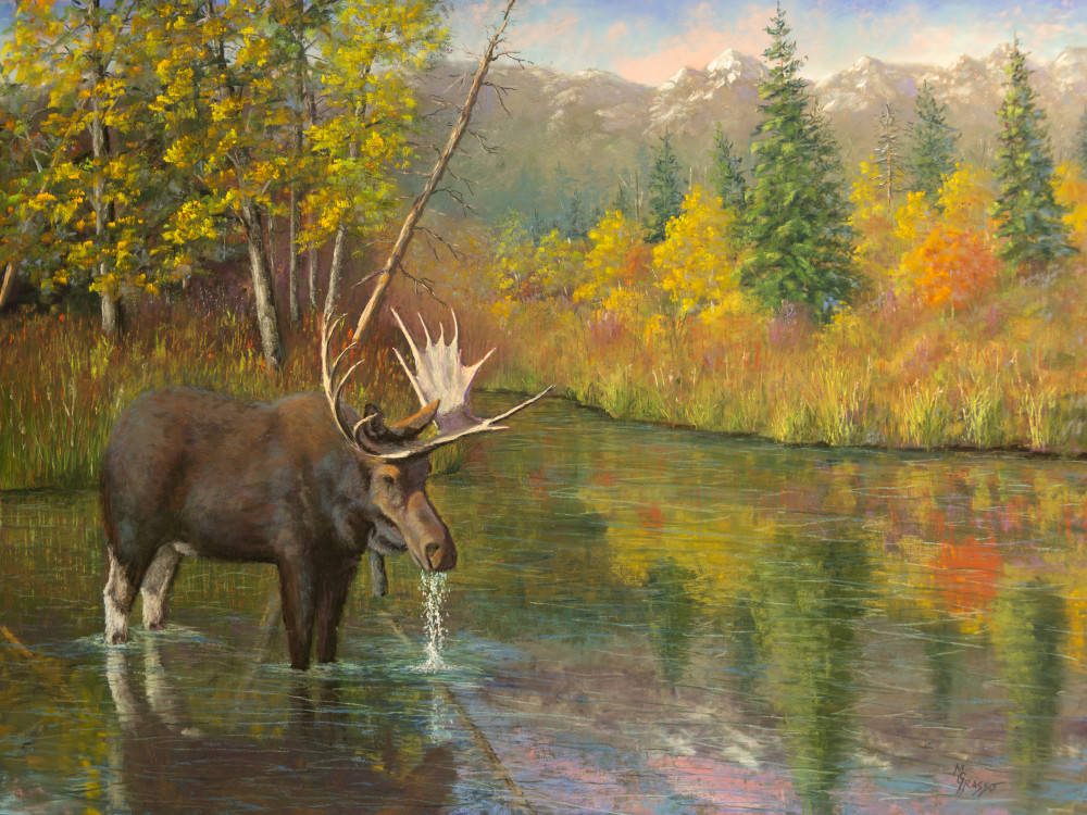 Shiras Moose In Autumn Art | Mark Grasso Fine Art