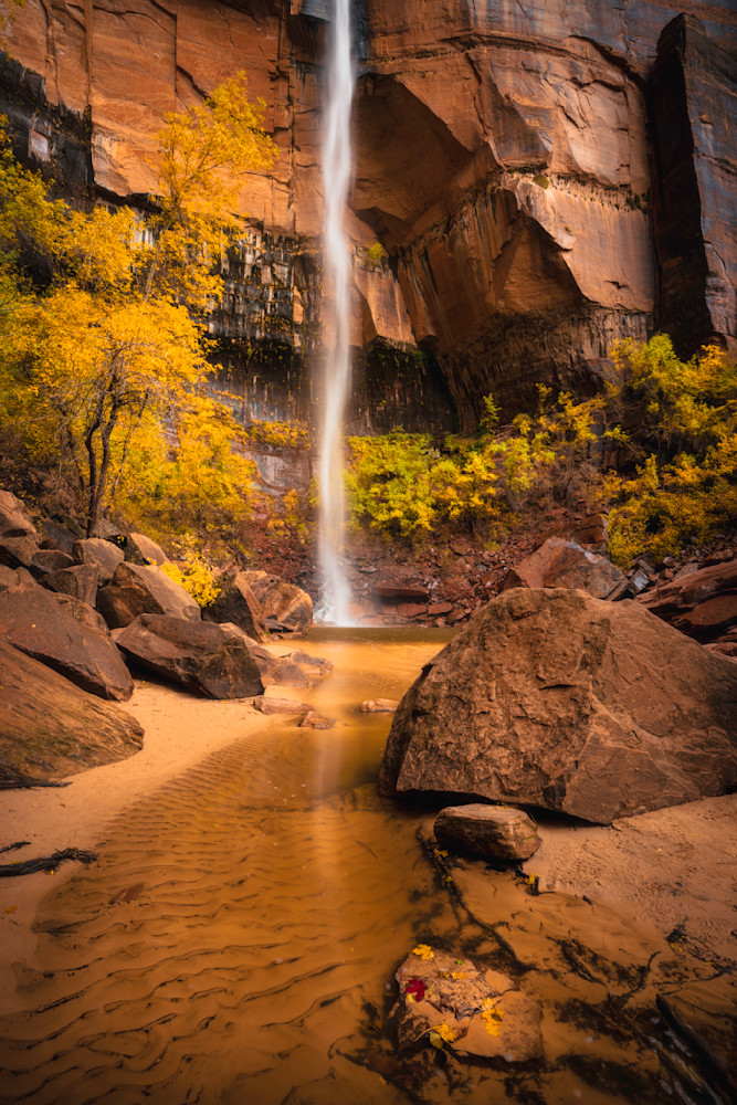 Falling Yellow Emerald Photography Art | Rich Vintage Photography