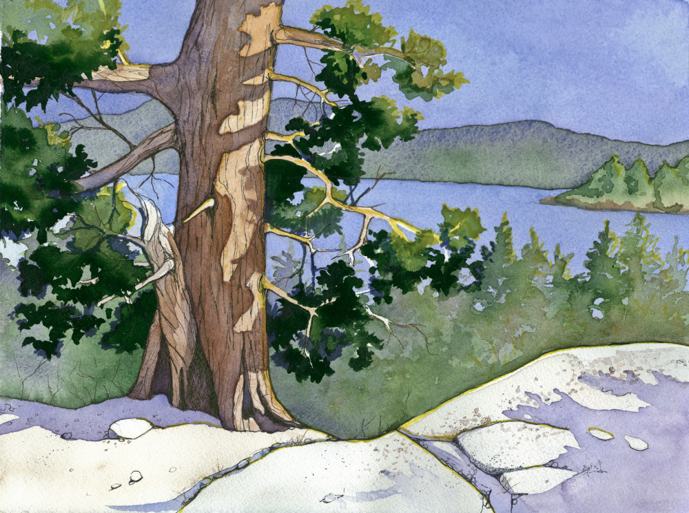 Caples Lake: Juniper And Granite Art | FiddleSong Studio