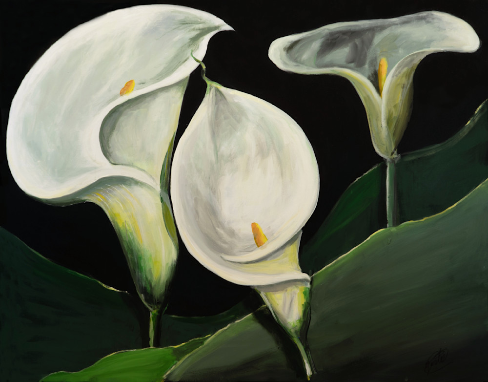 Cala Lily in Three
