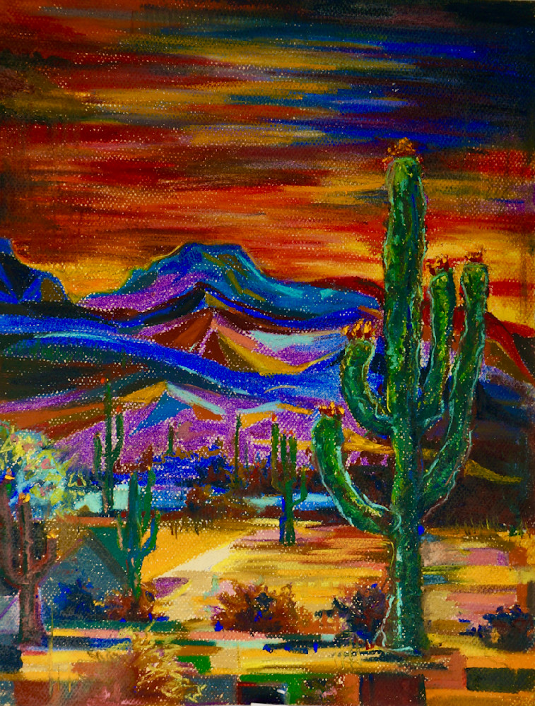 Saguaro Sky