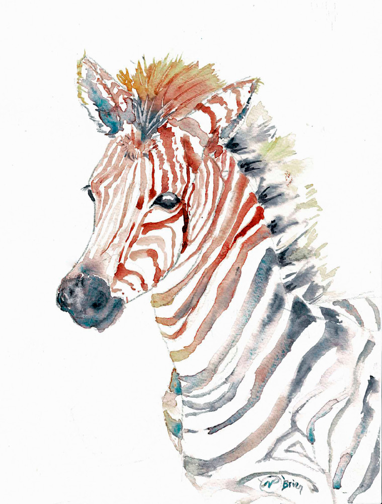 Backlit Baby Zebra Art | Color Splash Ranch
