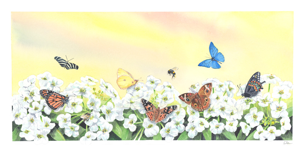 Butterflies Spring Art | Art by Alan Furst