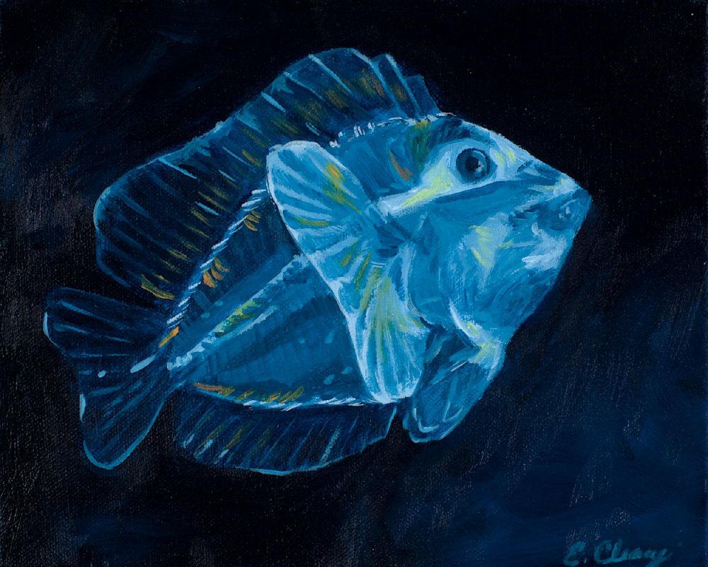 One Fish Blue Fish Art | Elizabeth Cleary