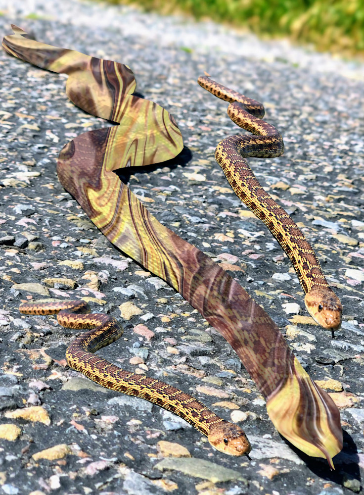 Triple Snake Art | Intuography.com