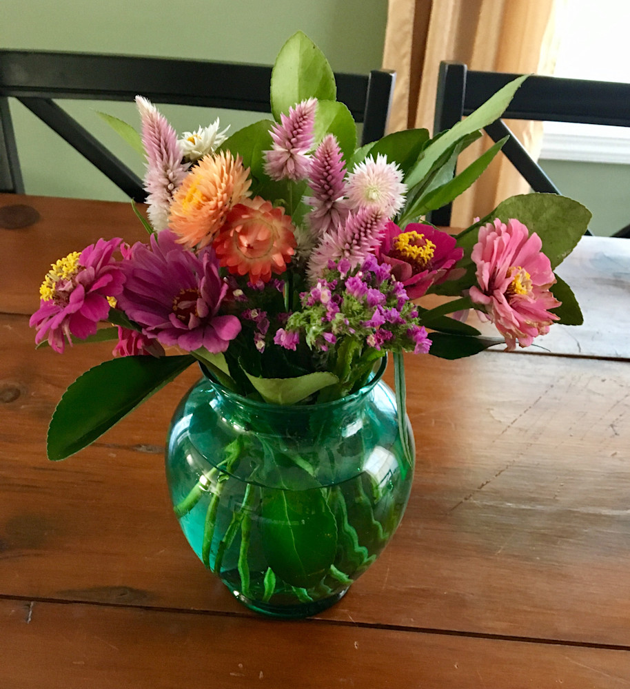 alpha-zinnia