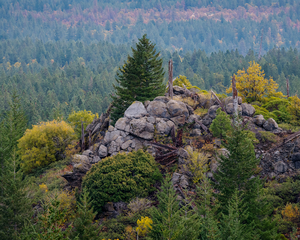 Autumn Colors on a Rocky Outcropping, Mt Hood National Forest, Oregon, 2022