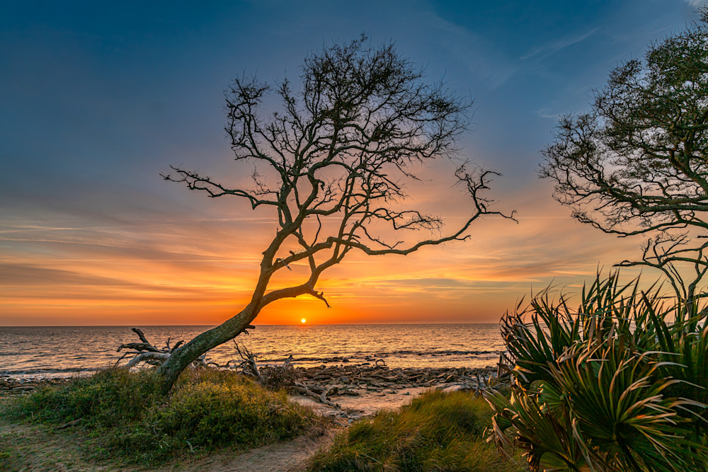 Driftwood Beach Sunrise 4 Photography Art | LeatherMark Productions