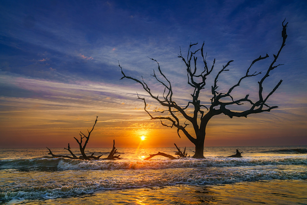 Driftwood Beach Sunrise 6 Photography Art | LeatherMark Productions