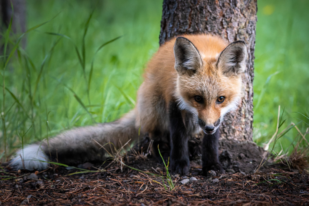 Inquisitive Photography Art | Jon Berndt Photography