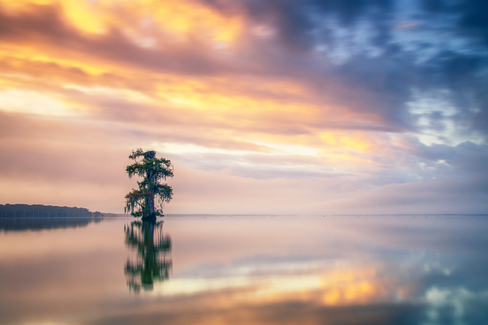 Alone on Lake Palourde — Louisiana swamp fine-art photography prints