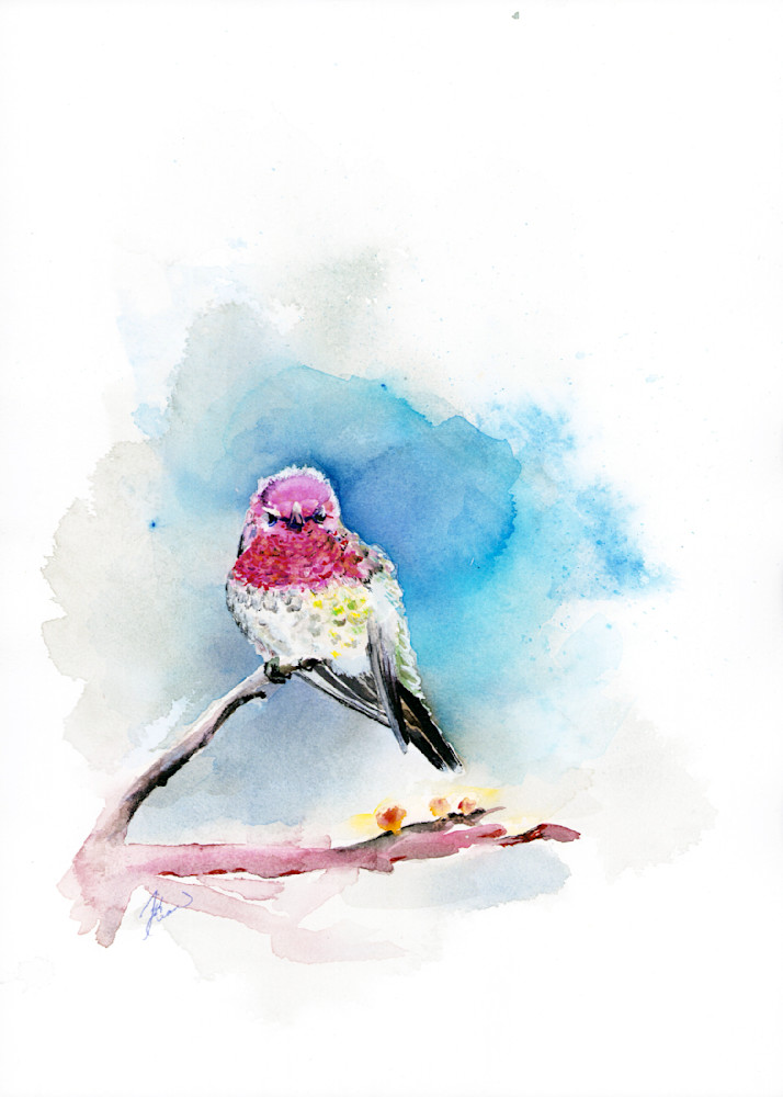 Hummingbird 2 Art | Jill Evans art + design