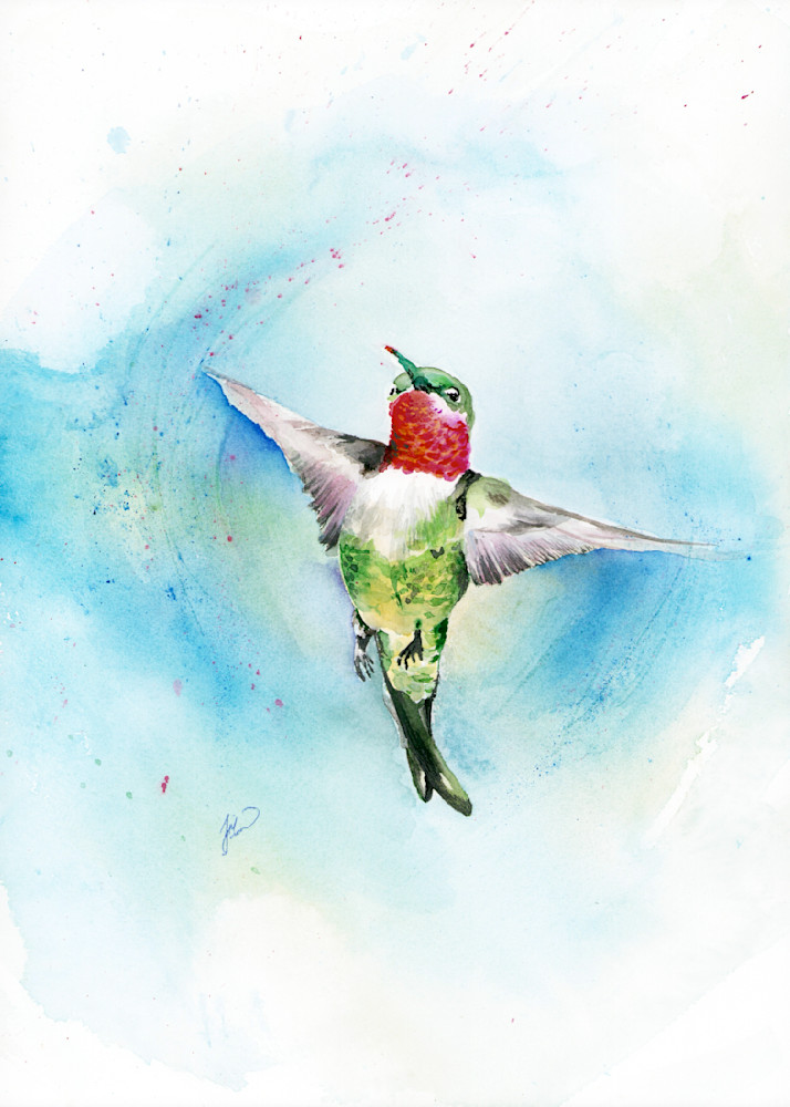 Hummingbird 1 Art | Jill Evans art + design