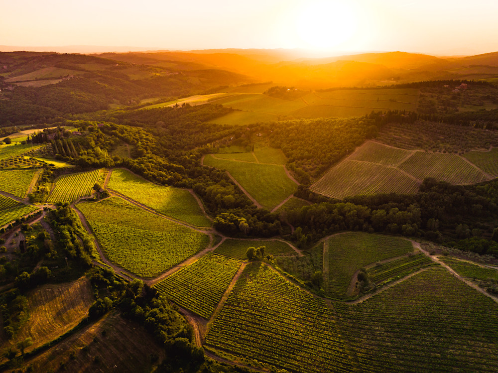 Under The Tuscan Sunset Photography Art | Opila Media