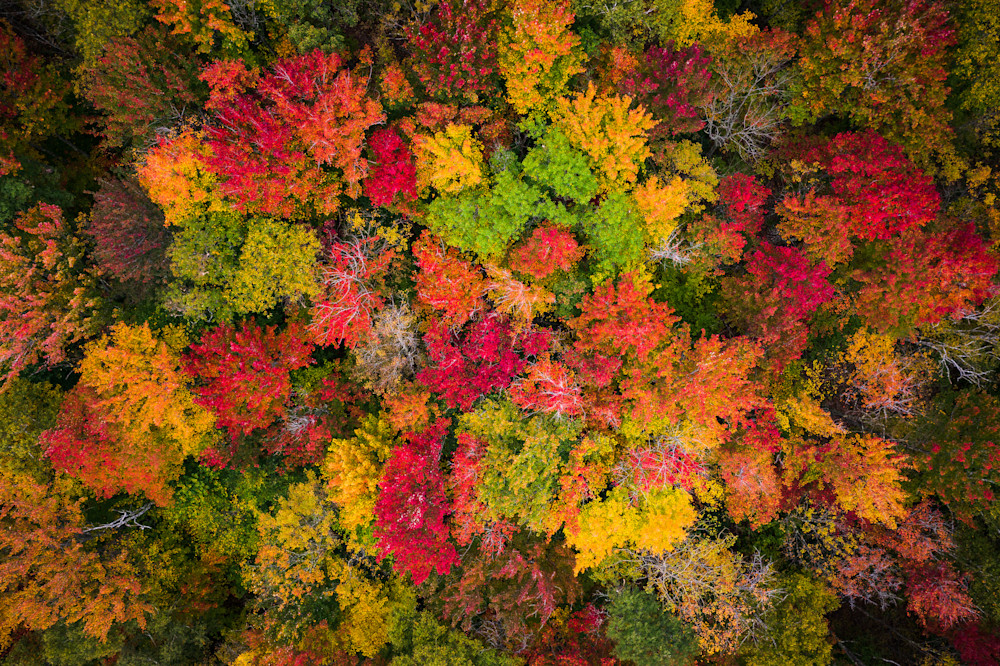 Fall Colors // Vermont, Usa Photography Art | Opila Media