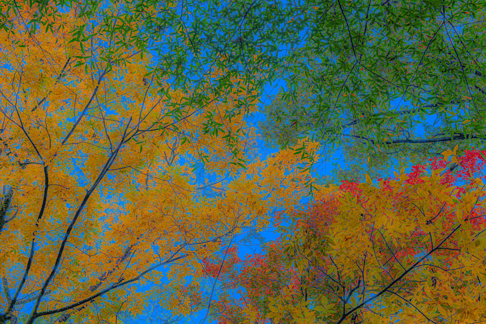 Autumn Colors Photography Art | John's Photos