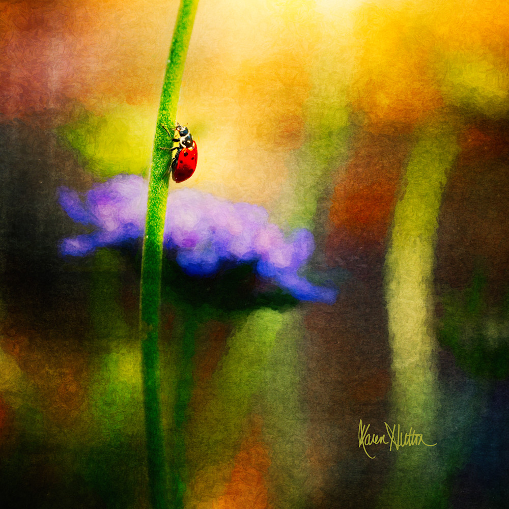 Ladybuggin' Out Throw Pillow Art | Karen Hutton Fine Art