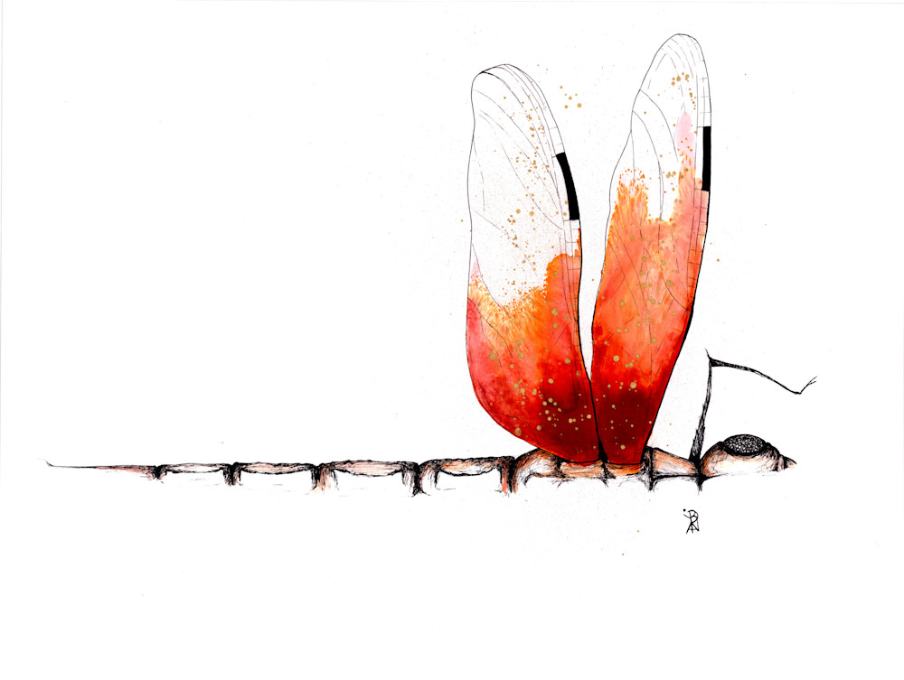 Red Dragonfly Hd Art | Art With Judy Ann