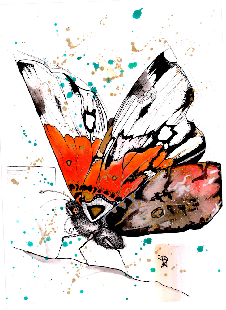 Butterfly Hd Art | Art With Judy Ann
