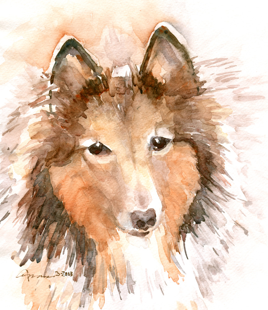Shetland Dog Watercolor Print | Claudia Hafner Watercolor
