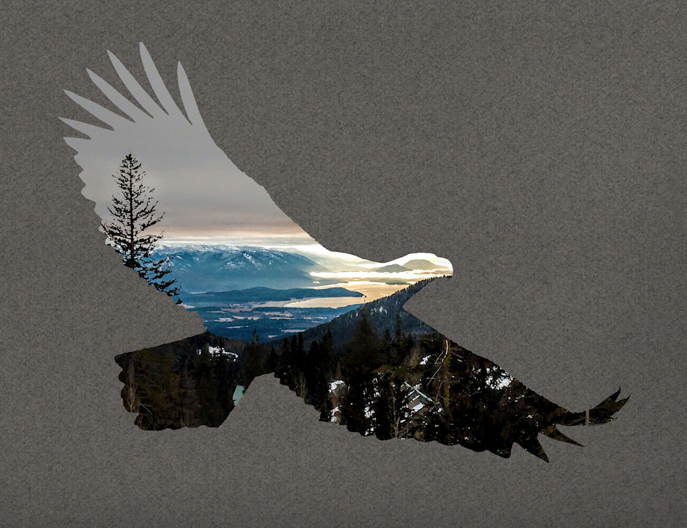 Eagle Sunrise Art | Thom Shepherd Art
