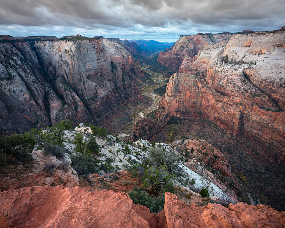 Overlooking Zion Canyon