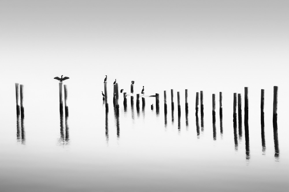 Accupuncture Series No3 Photography Art | 3rdEye Photographic