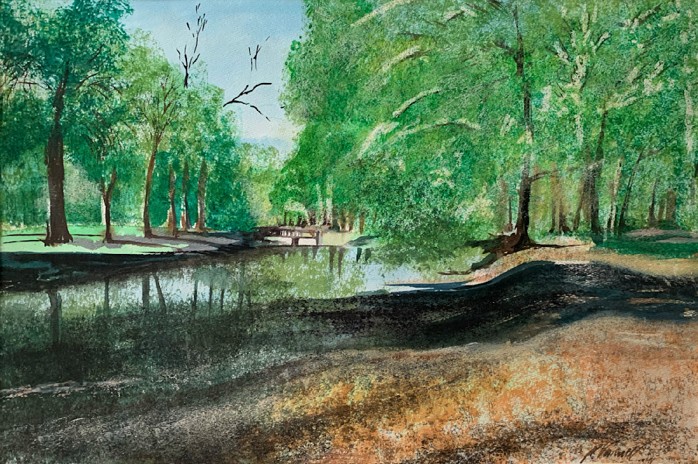 Forest Park Pond Art | V Creative Studio