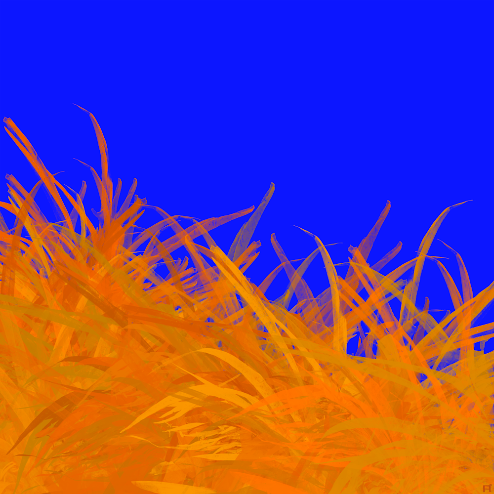 Palm Pop Orange On Blue Art | Totisu