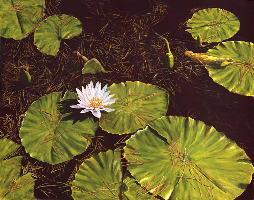 In Praise Of Sunshine Art | Christopher Evan Taylor Art