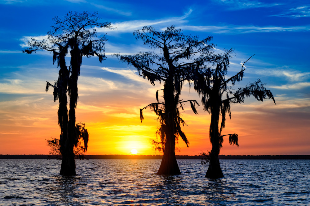 New Year's Sunset - Louisiana swamp sunset photography prints