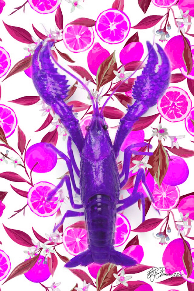 Crawdaddy Lemon Purple Art | Jamila Art Gallery
