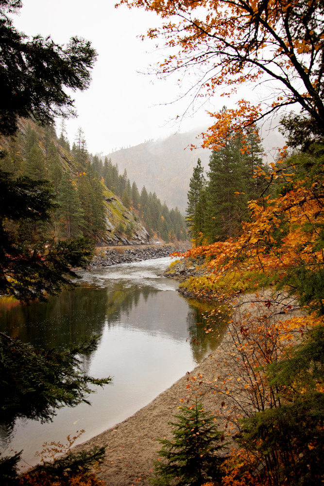 Autumn Morning Photography Art | Catherine Reese