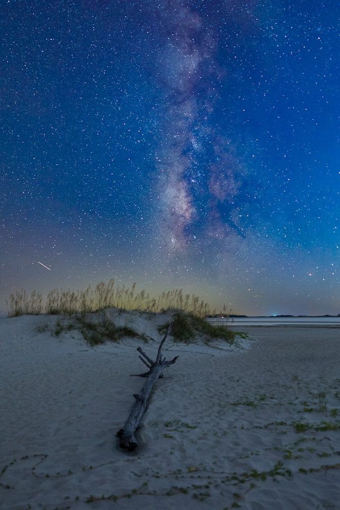 Tybee Driftwood, Dunes, and Stars